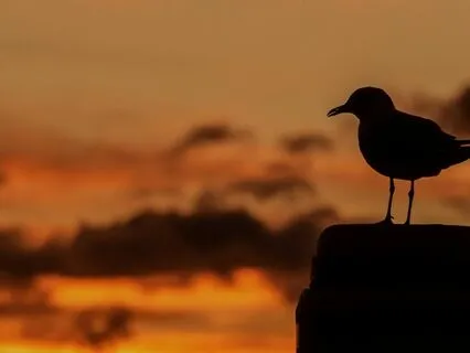 Towards The Light: An Advent Journey - Day 3 Beyond Darkness