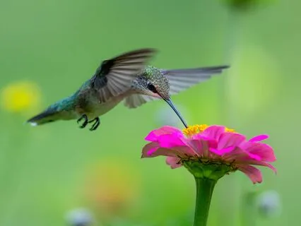 Towards the Nectar of Life | Positive Vibes & LoFi Beats