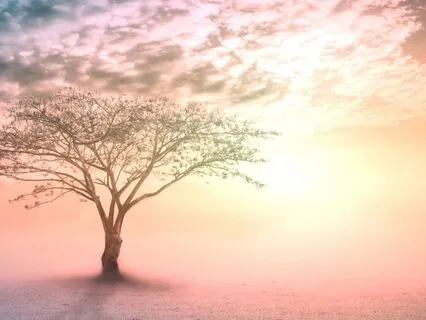 Toxic Relationship Cord Cutting