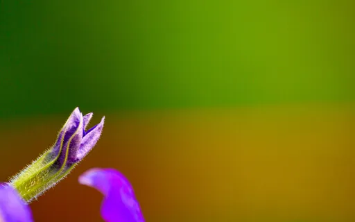 TP* Calling Forth The Highest Possibility For Your Life?