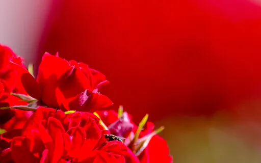 TP* What Good Is Here That I Presently Cannot See? 