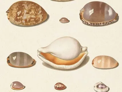 Tracing Back Your Lineage