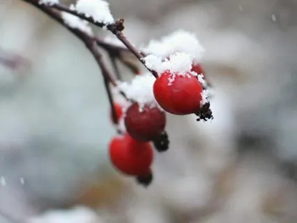 Tracing The Nudges Of Intuition - Jan 28