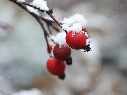 Stepping Into Transitions - Jan 29