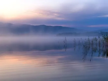 Track 1: Morning Clarity — Calm Focus & Positivity