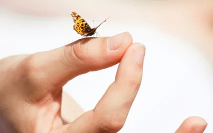 Track 3: Letting Go & Letting Flow - Letting Go Of Anxiety