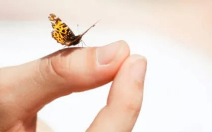 Track 4: Managing Anxiety & Releasing Tension - Letting Go