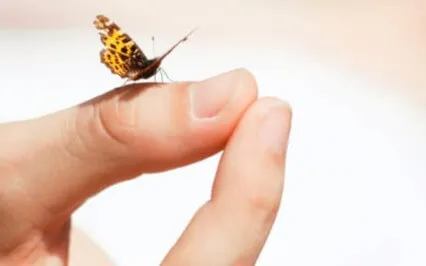 Track 5: Managing Anxiety & Equal Breathing - Letting Go