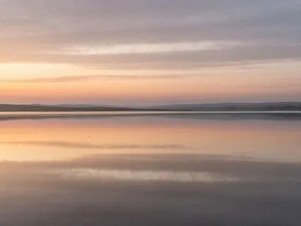 Track 6: Focus & Productivity — Sharpen Your Mind