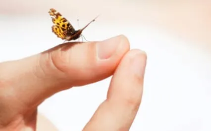 Track 6: Managing Anxiety & Belly Breathing (Letting Go)