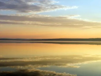 Track 7: Self-Compassion Morning