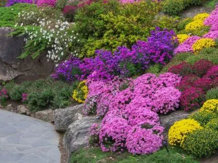 Track Eight: Morning Whispers Of The Heart: Joy Awakens