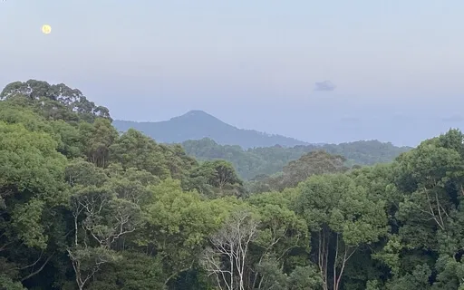 Tracking Health & Relaxation 