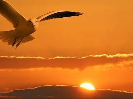 Train Of Love (Piano Based Meditation)