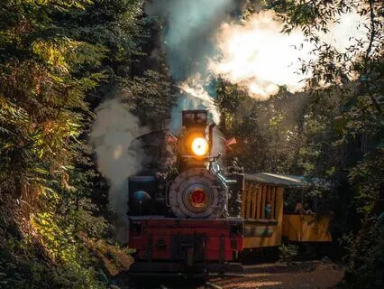 Train Of Thought - Or How To Learn To Let Go Of Thoughts