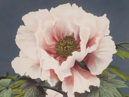 Refresh The Mind: 60-Second Breath Exercise