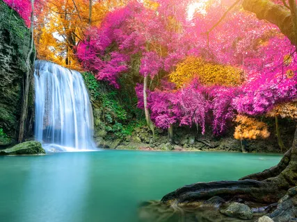 Training The Mind Towards Positive Thinking