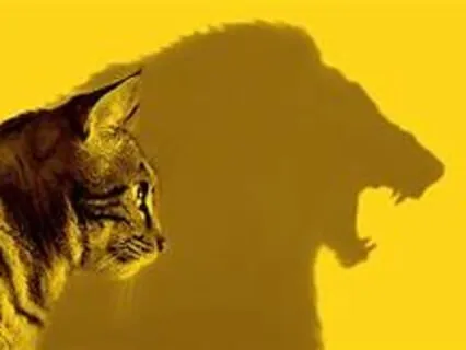 Trance For Confidence