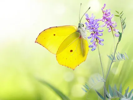 Discovering Your Purpose