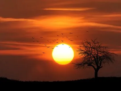 Trance Of The Ancients