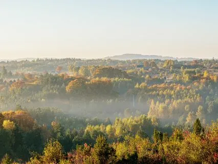 Tranquil Abundance: Relax And Thrive