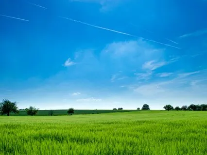 Tranquil Acoustic Melodies For Inner Calm