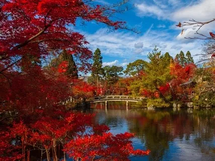 Tranquil Bliss - Mindful Guided Imagery