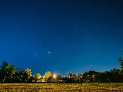 Tranquil Dreams: Soothing Night Sounds