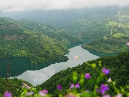 Tranquil Echoes Of Stillness : Meditation For Anxiety Relief