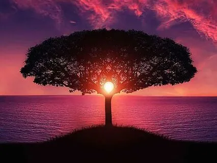 Tranquil Flow: Evening Stillness