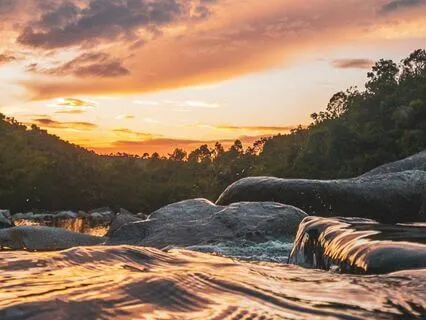 Tranquil Forest At Twilight