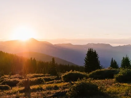 Tranquil Handpan Music With Nature Sounds