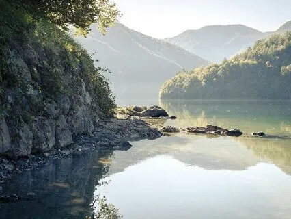 Tranquil Lotus Realm: Finding Calm With Buddha