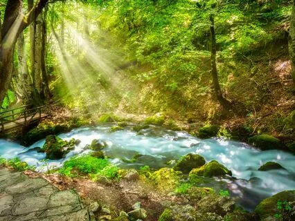 Tranquil Mornings: Start Stress-Free