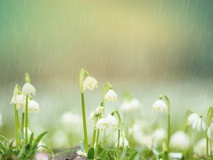 Tranquil Music And Soft Rain For Inner Peace And Relaxation