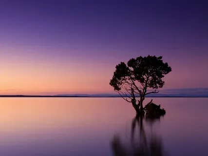 Tranquil - Music For Stress & Anxiety