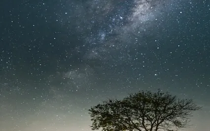 Tranquil Music - Relaxation In Life