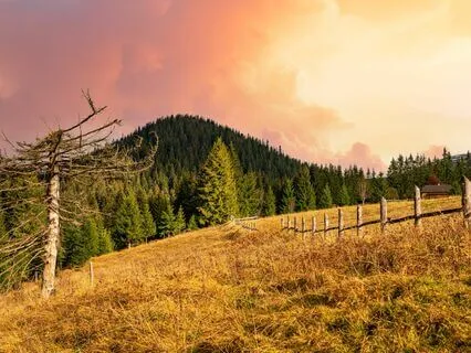 Tranquil Nightfall: Music For Rest