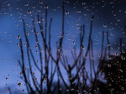  Tranquil Piano & Rain