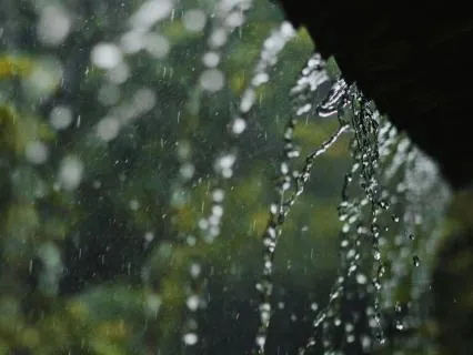 Tranquil Rain To Falling Asleep Fast