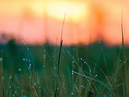 Tranquil Reflection: Deep Calm For Sleep & Meditation