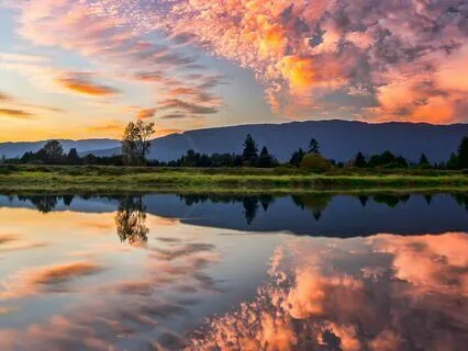 Tranquil Reflections: Quiet The Mind