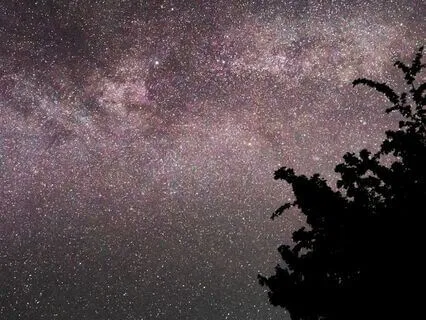 Tranquil Relaxation Music