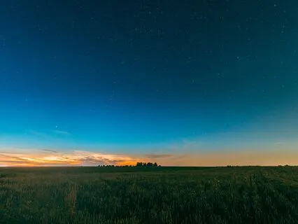 Tranquil Relief: Stress-Free Music Escape