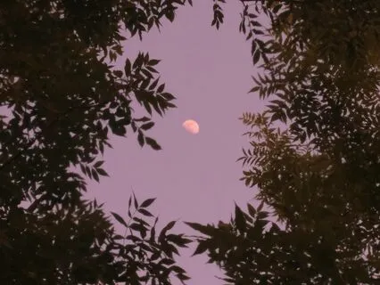 Tranquil Retreat: Relax And Recharge