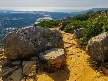 Tranquil Rhythmic Flow