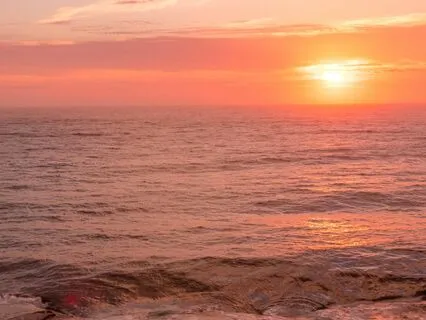 Tranquil Seaside Jungle: Ocean Waves & Cicada Meditation