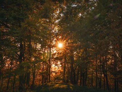 Tranquil Sleep Through Divine Light