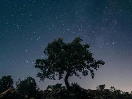 Tranquil Slumber: Ambient Music & Binaural Beats for Sleep