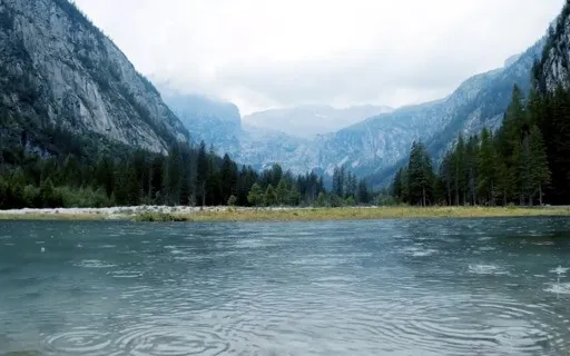 Tranquil Soundscape With Alpha Waves And Nature Sounds